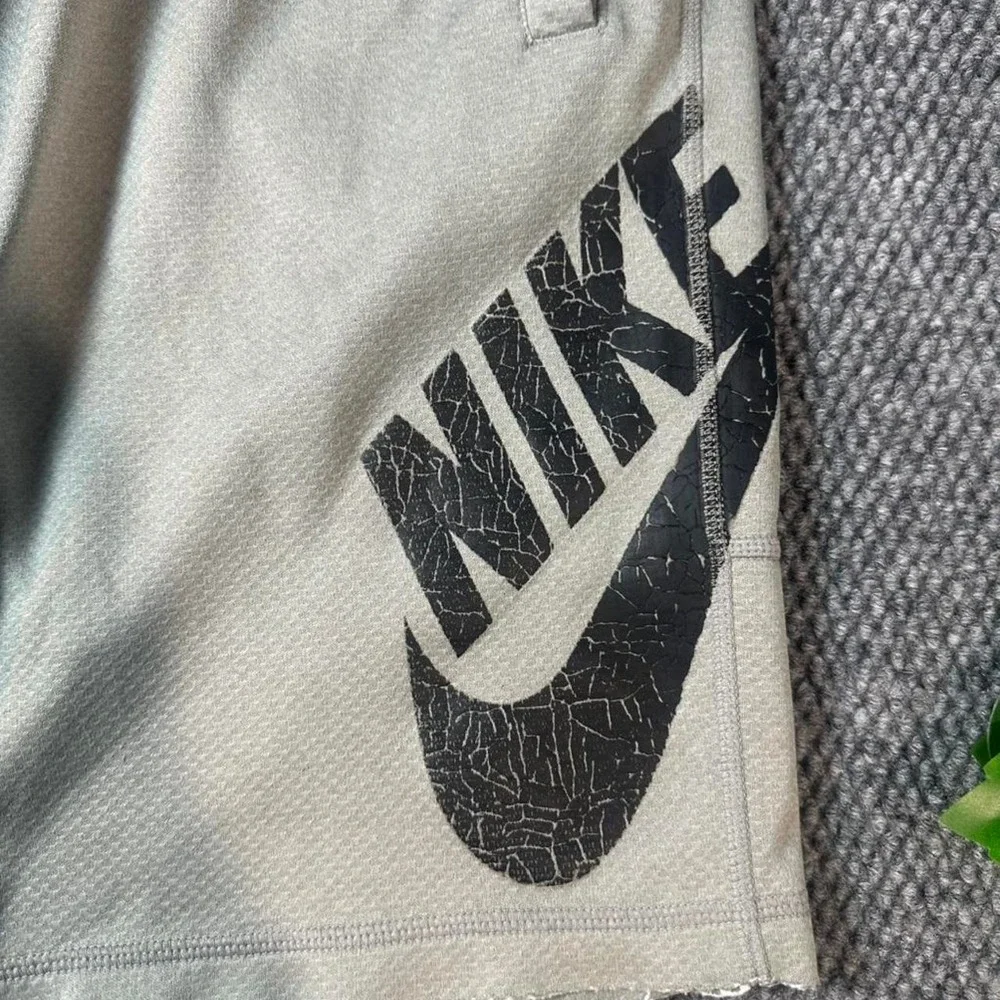 Nike SB Dri-FIT Skateboarding Shorts Gray Big Logo